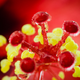 Illustration for article titled 58 Giant Close-Ups Of Plants